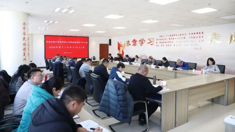 集團(tuán)黨委理論學(xué)習(xí)中心組召開(kāi)2025年第十二次學(xué)習(xí)（擴(kuò)大）會(huì)